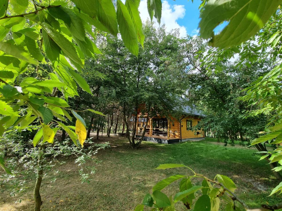 Wzgorze Kamien Ferienhaus Jozefow (Bilgoraj)