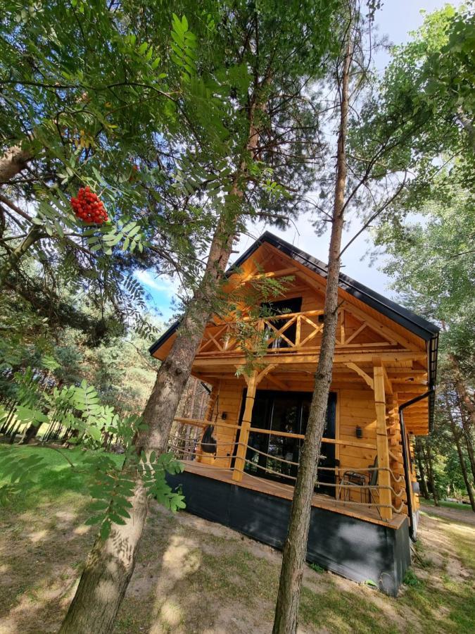 Wzgorze Kamien Ferienhaus Jozefow (Bilgoraj)